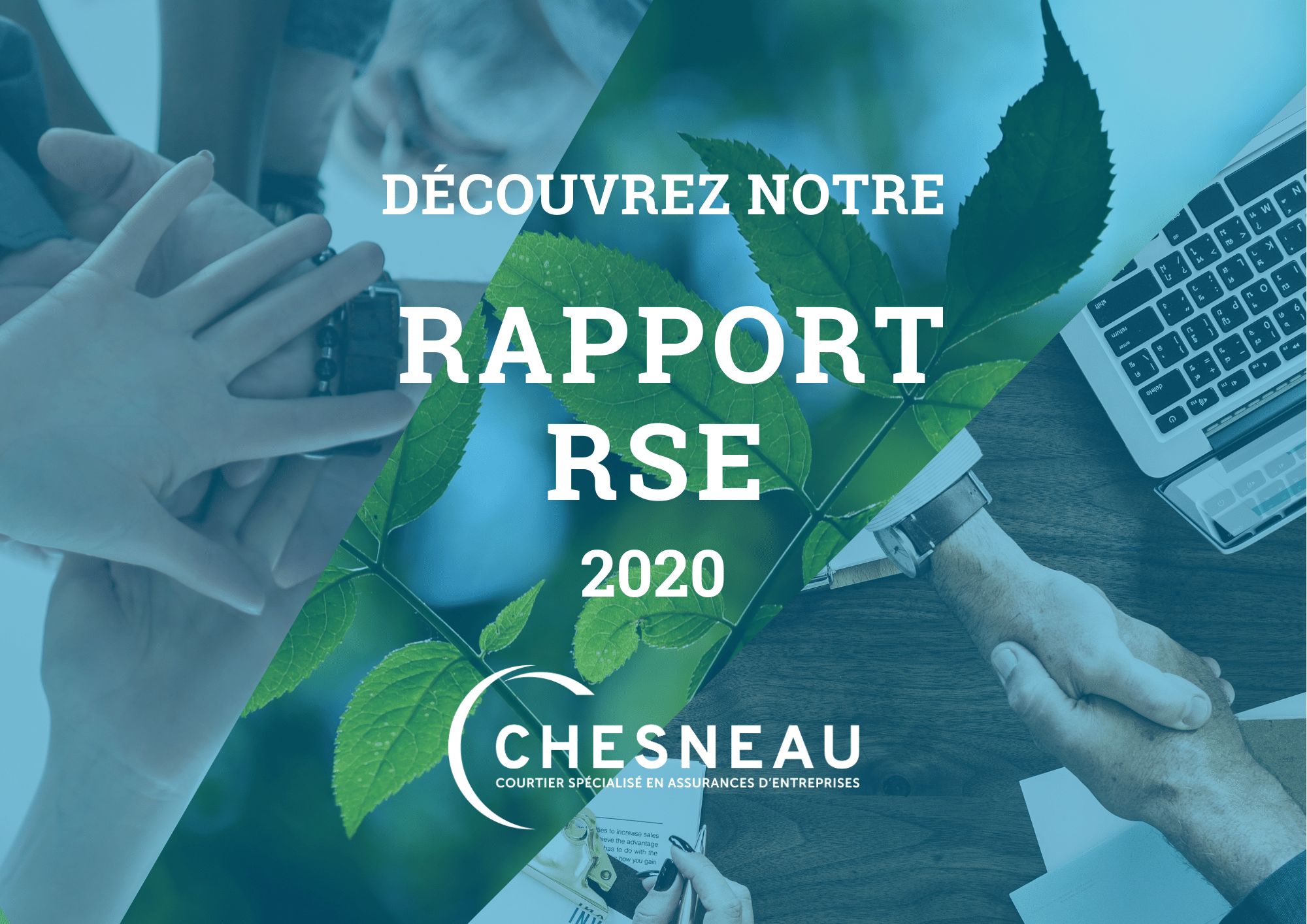 Rapport RSE Chesneau 2020